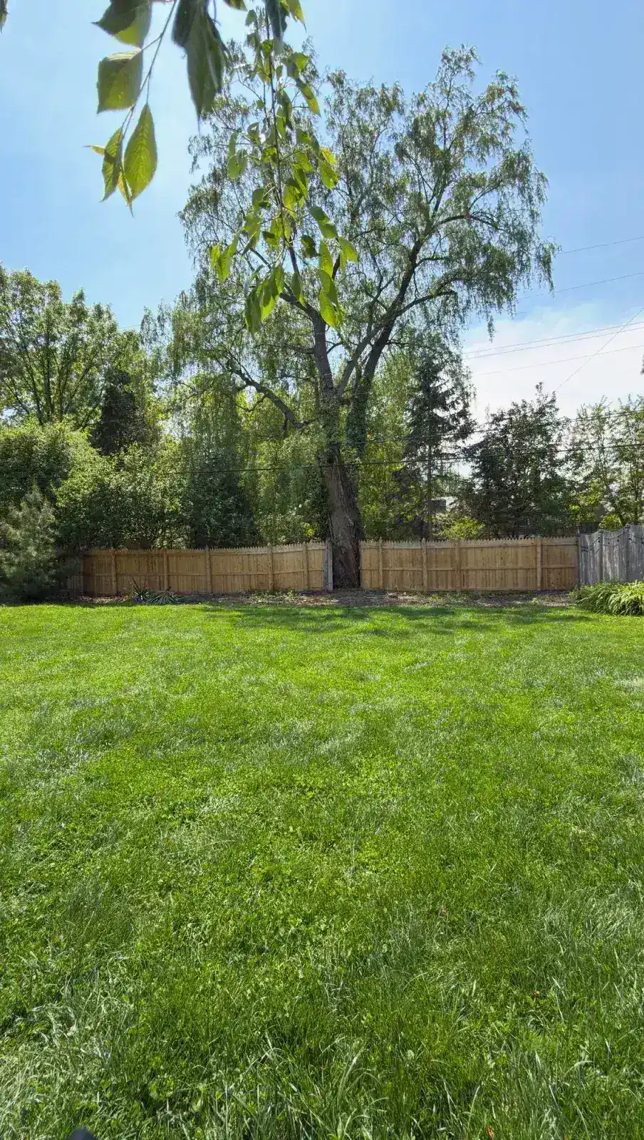 Backyard after existing privacy fence removal in Grosse Pointe Park Michigan