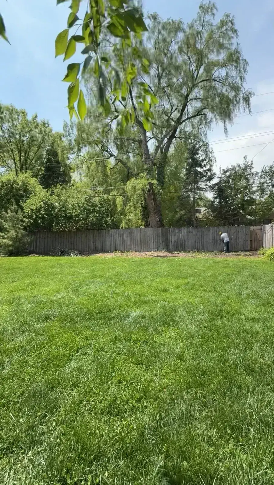 Existing wood privacy fence before removal in Grosse Pointe Park Michigan