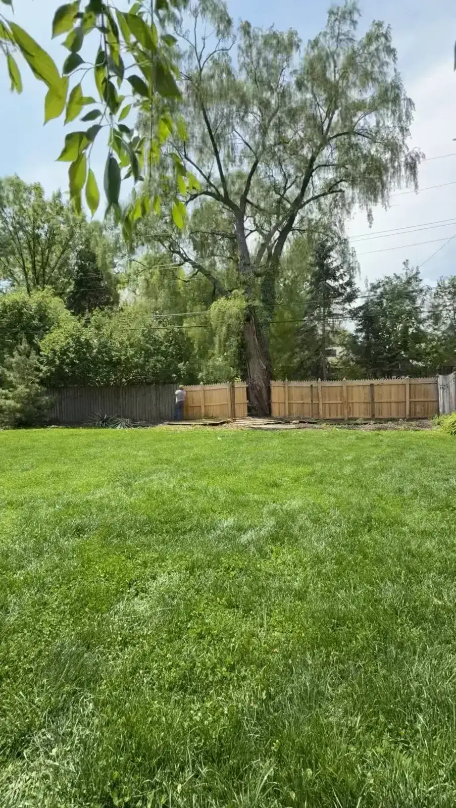 Privacy fence removal project in progress in Grosse Pointe Park MI