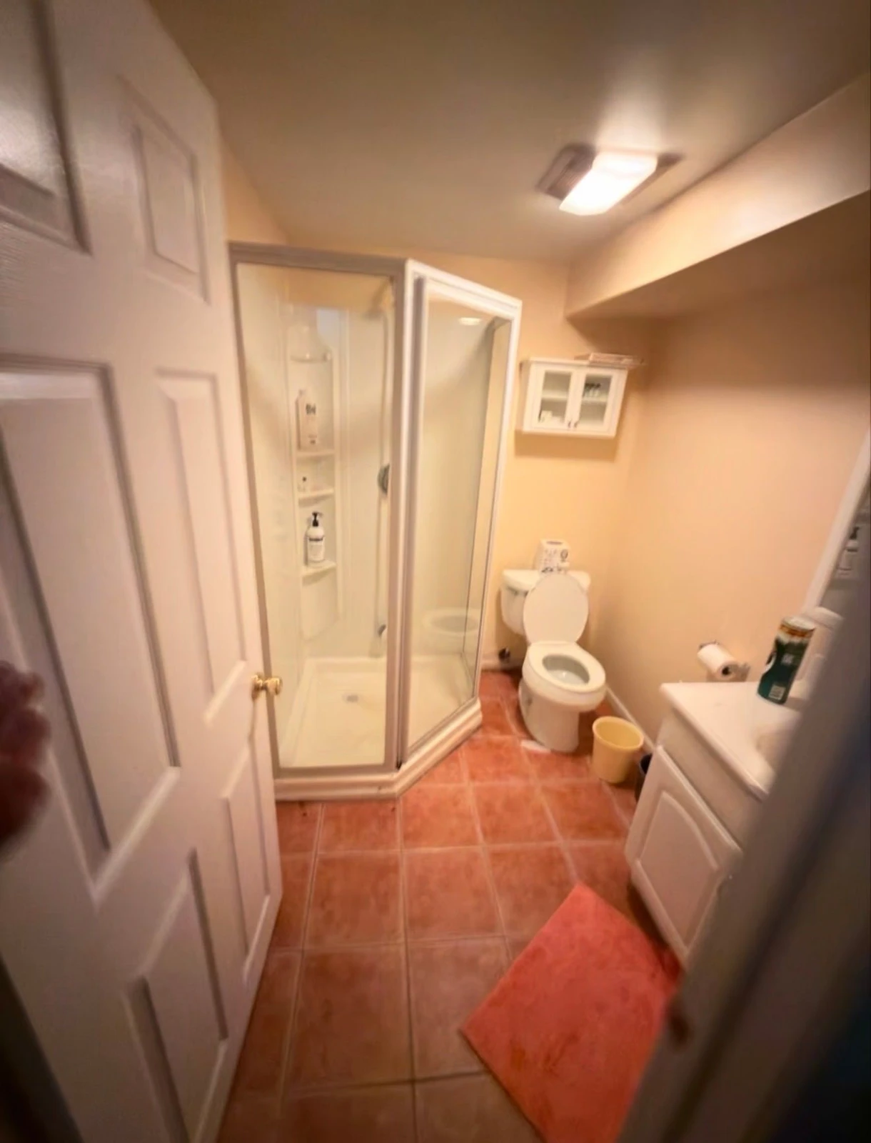 Basement bathroom before demolition in Grosse Pointe Woods Michigan