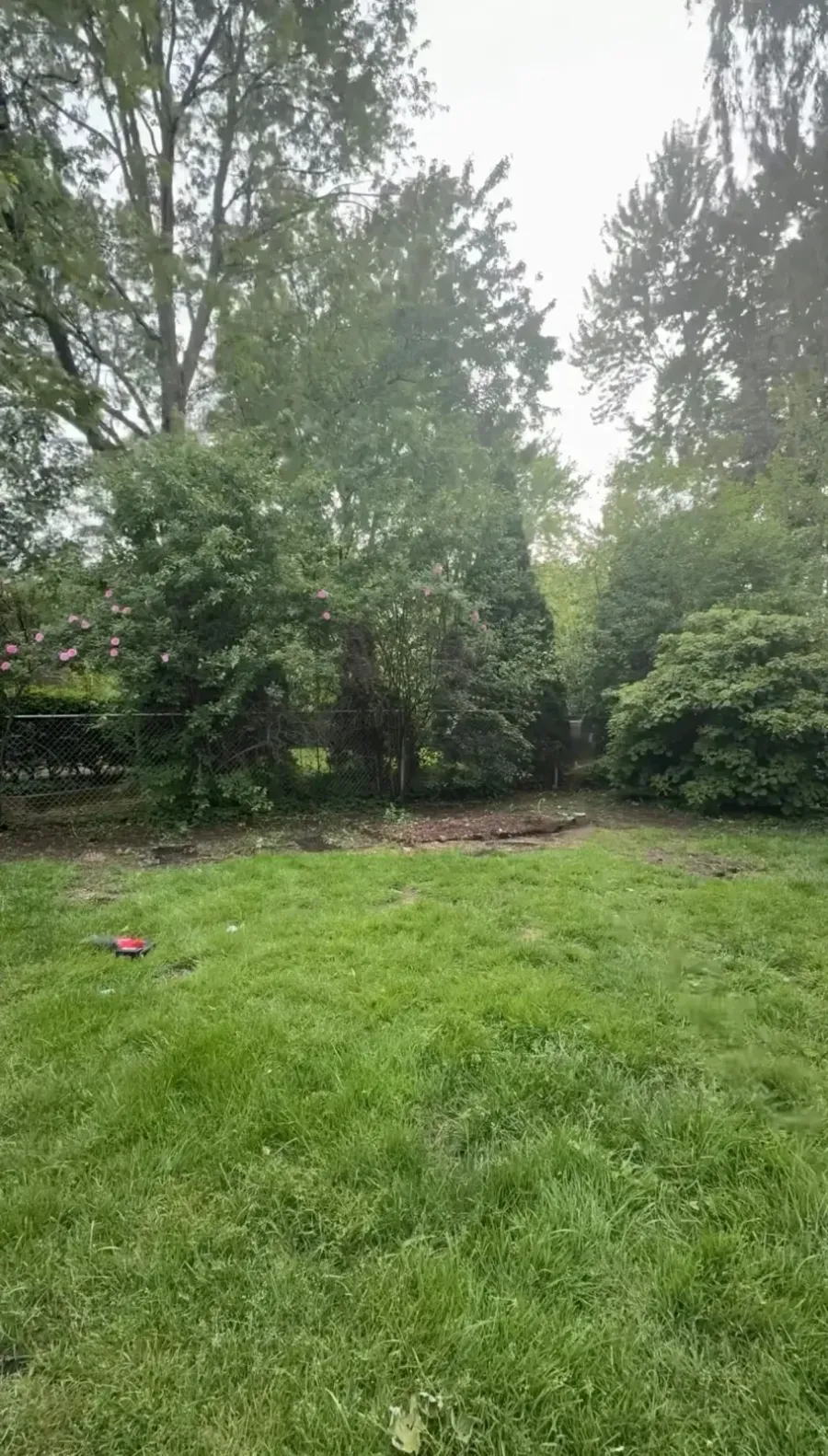 Backyard cleared after playset removal in Grosse Pointe Woods Michigan