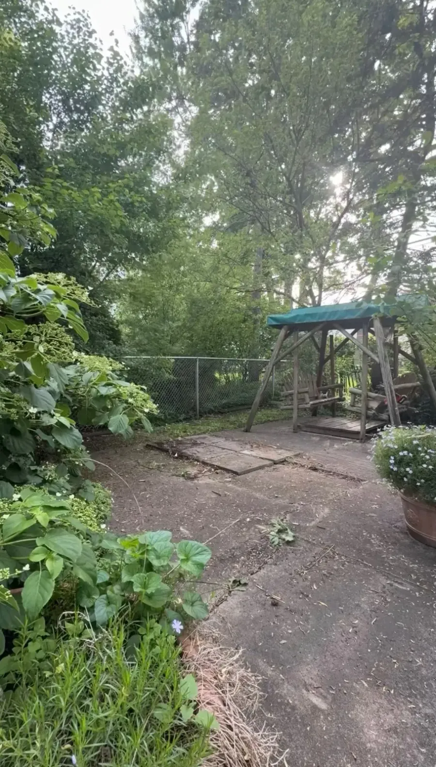 Backyard area cleared after playhouse removal in Grosse Pointe Woods MI