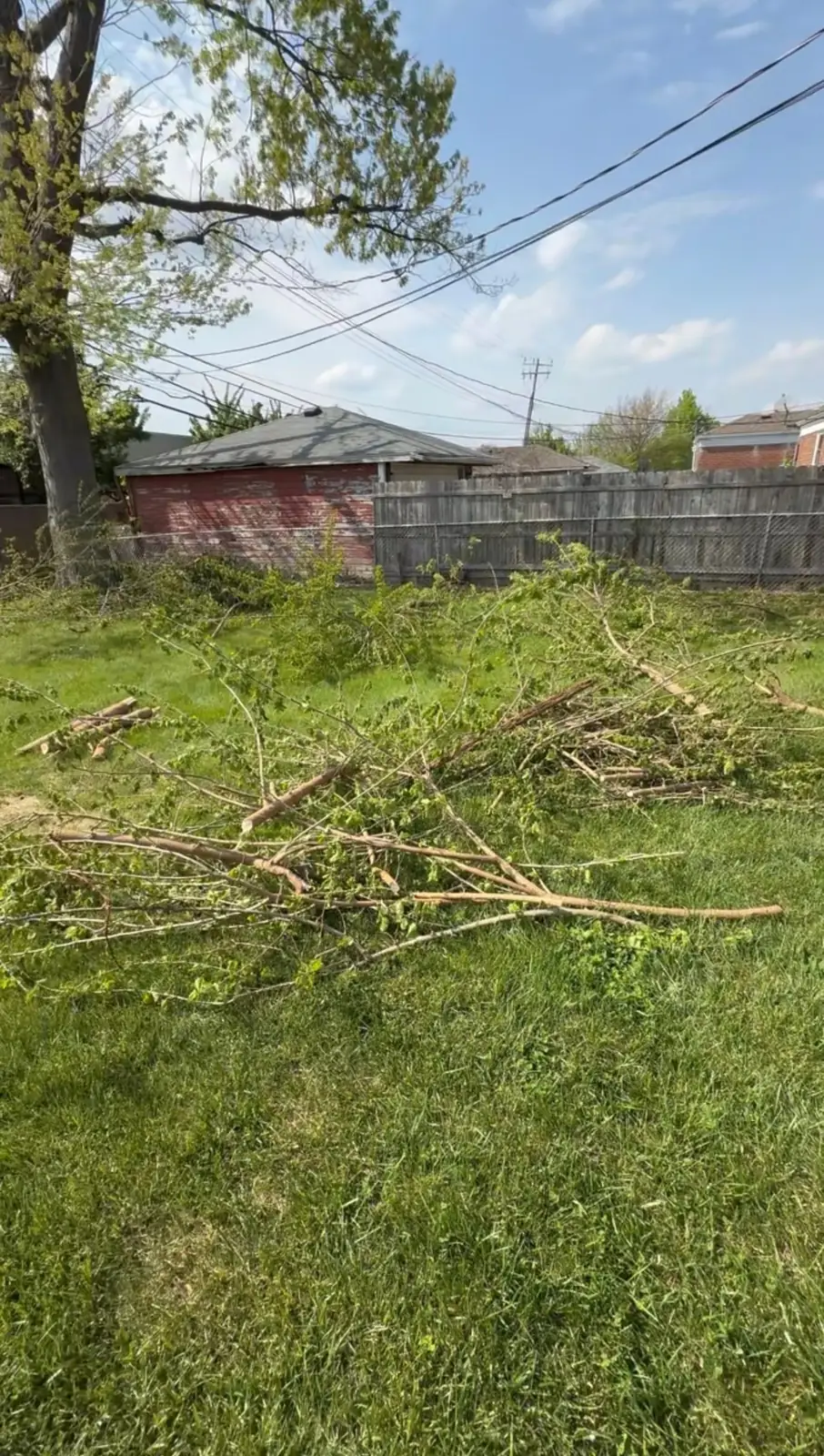 Cut tree branches and brush piled in a backyard before removal in Roseville, Michigan