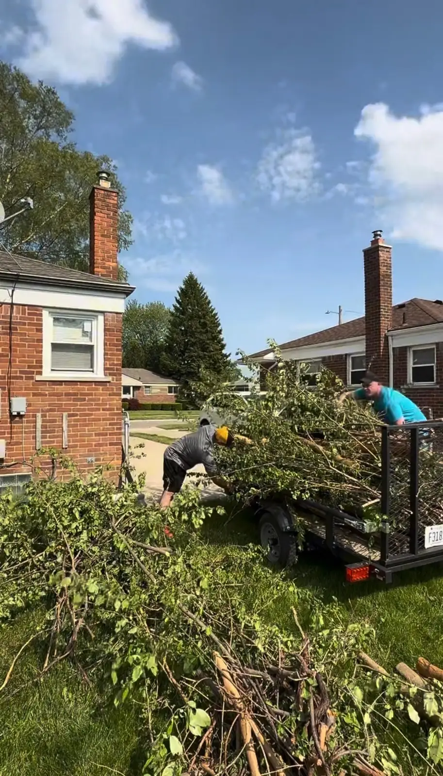 Cut branches and brush being loaded into a Demohaulic trailer during a yard debris removal job in Roseville, Michigan